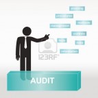 When Is the Auditor Audited?