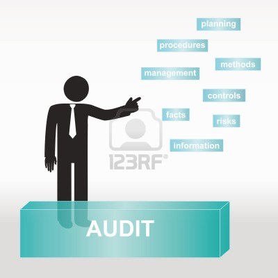 Picture for When Is the Auditor Audited? article
