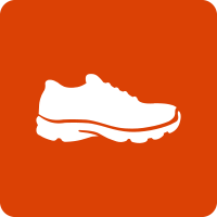 icon of shoe