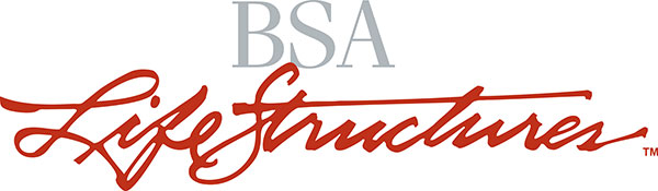 BSA Life Structures