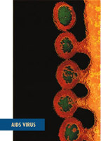 Aids Virus