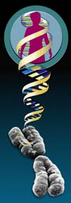 Graphic showing spiral of dna flowing around human figure.
