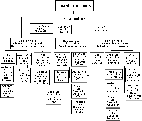 Organization Chart