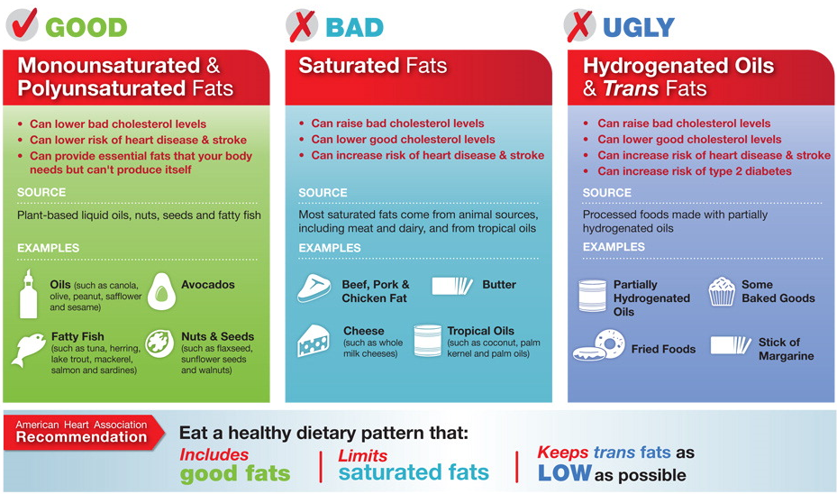 Fats: the Good, the Bad and the Ugly
